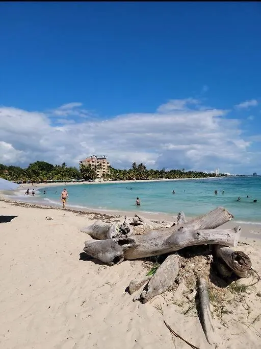 Relax With An Ocean View At Michi Blue! Apartment Guayacanes