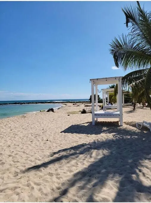 Relax With An Ocean View At Michi Blue! Apartment Guayacanes